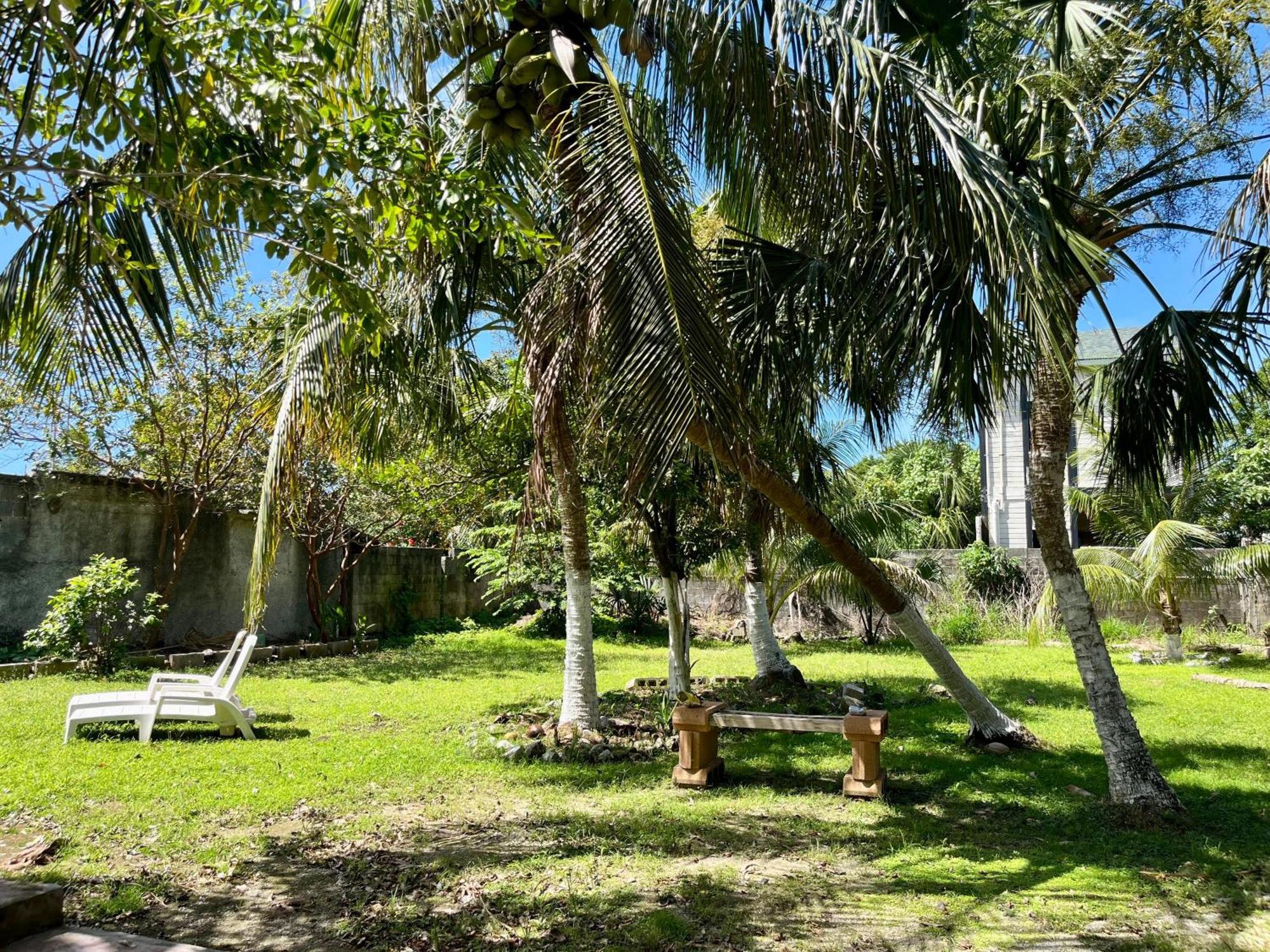 Perfect Place Cozumel - Diana Eksteriør bilde